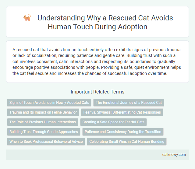 Understanding Why a Rescued Cat Avoids Human Touch During Adoption