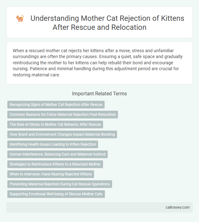 Understanding Mother Cat Rejection of Kittens After Rescue and Relocation