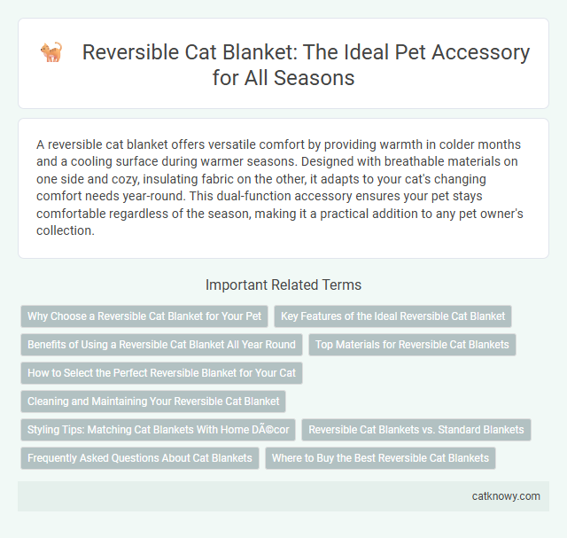 Reversible Cat Blanket: The Ideal Pet Accessory for All Seasons