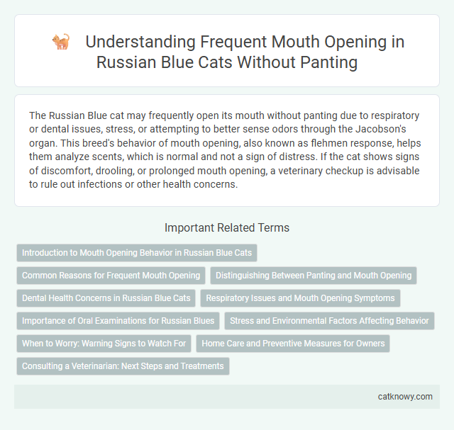 Understanding Frequent Mouth Opening in Russian Blue Cats Without Panting