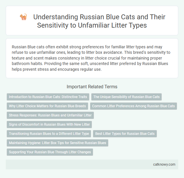 Understanding Russian Blue Cats and Their Sensitivity to Unfamiliar Litter Types