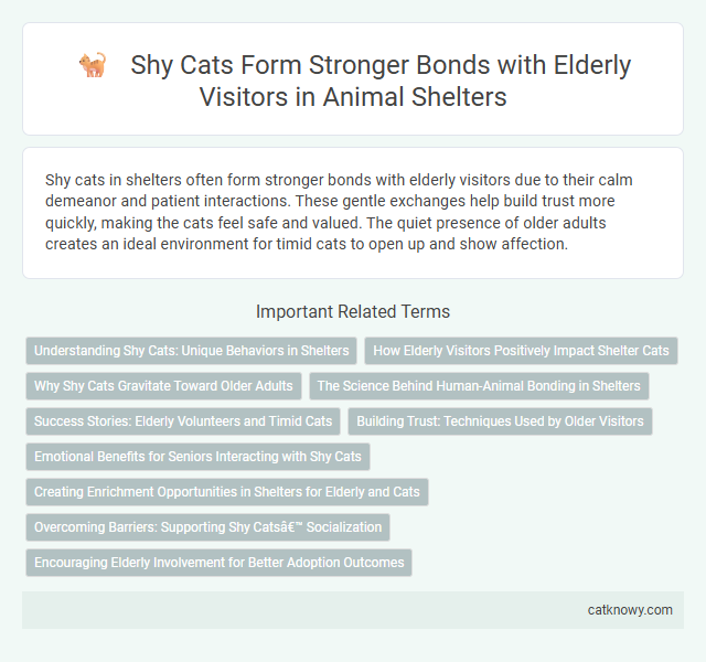 Shy Cats Form Stronger Bonds with Elderly Visitors in Animal Shelters