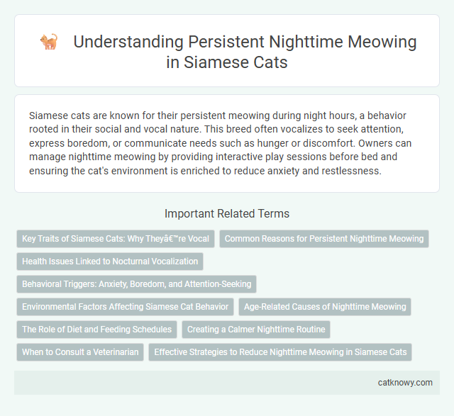 Understanding Persistent Nighttime Meowing in Siamese Cats