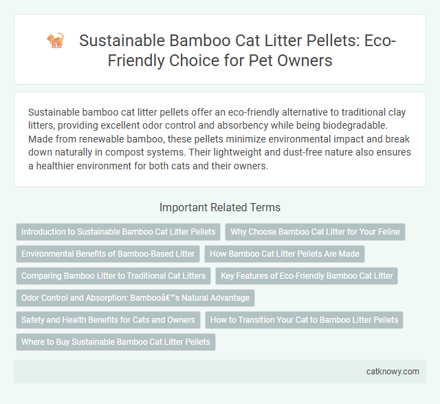 Sustainable Bamboo Cat Litter Pellets: Eco-Friendly Choice for Pet Owners