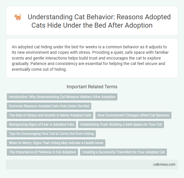 Understanding Cat Behavior: Reasons Adopted Cats Hide Under the Bed After Adoption