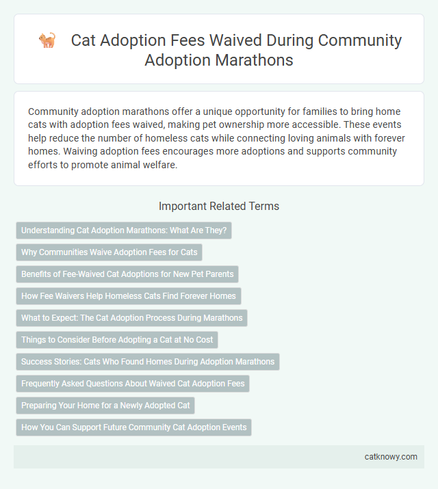 Cat Adoption Fees Waived During Community Adoption Marathons