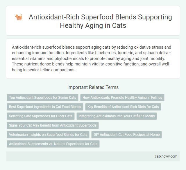 Antioxidant-Rich Superfood Blends Supporting Healthy Aging in Cats