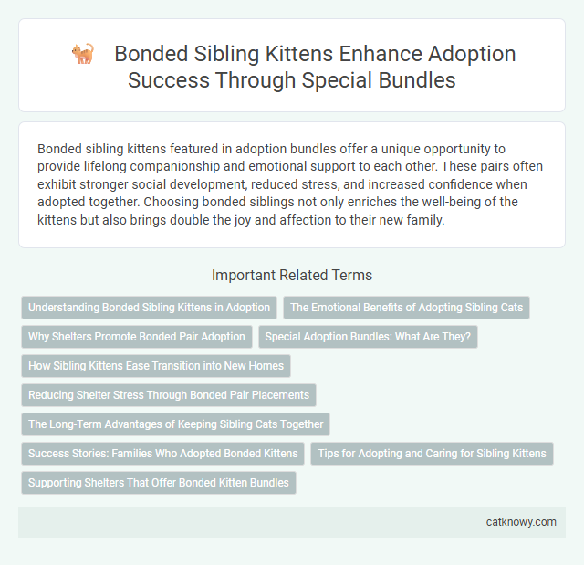 Bonded Sibling Kittens Enhance Adoption Success Through Special Bundles
