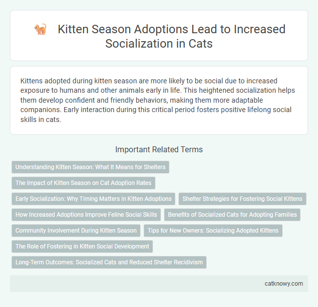 Kitten Season Adoptions Lead to Increased Socialization in Cats