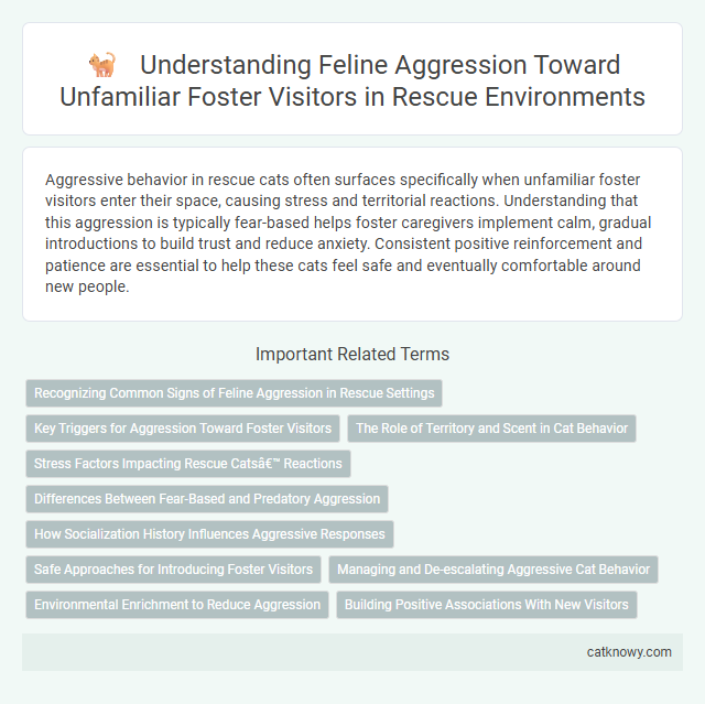 Understanding Feline Aggression Toward Unfamiliar Foster Visitors in Rescue Environments