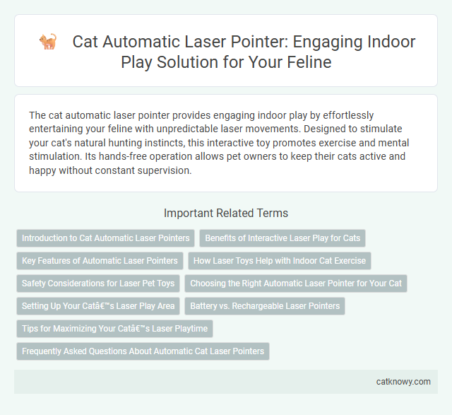 Cat Automatic Laser Pointer: Engaging Indoor Play Solution for Your Feline