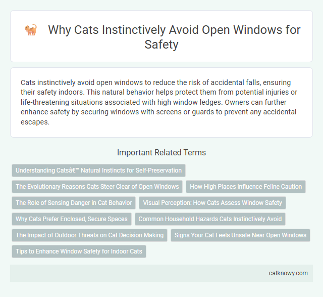 Why Cats Instinctively Avoid Open Windows for Safety