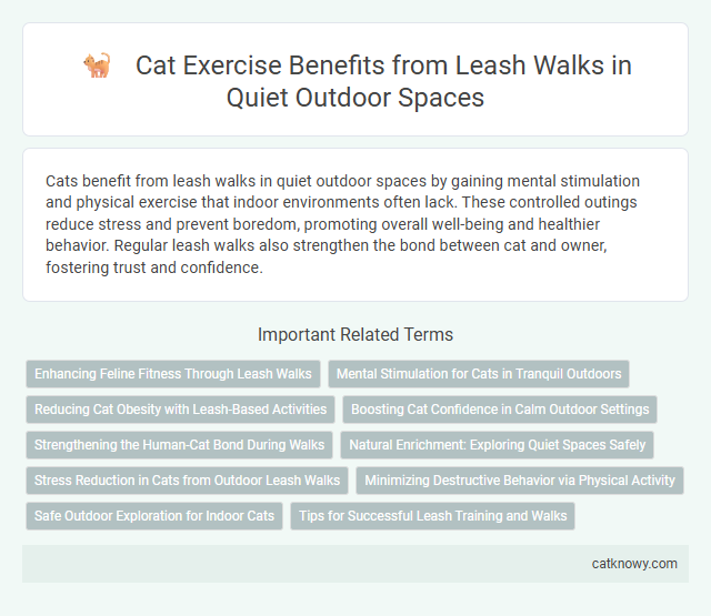 Cat Exercise Benefits from Leash Walks in Quiet Outdoor Spaces