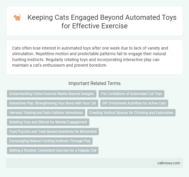 Keeping Cats Engaged Beyond Automated Toys for Effective Exercise