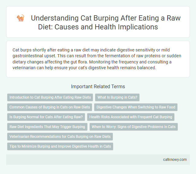 Understanding Cat Burping After Eating a Raw Diet: Causes and Health Implications