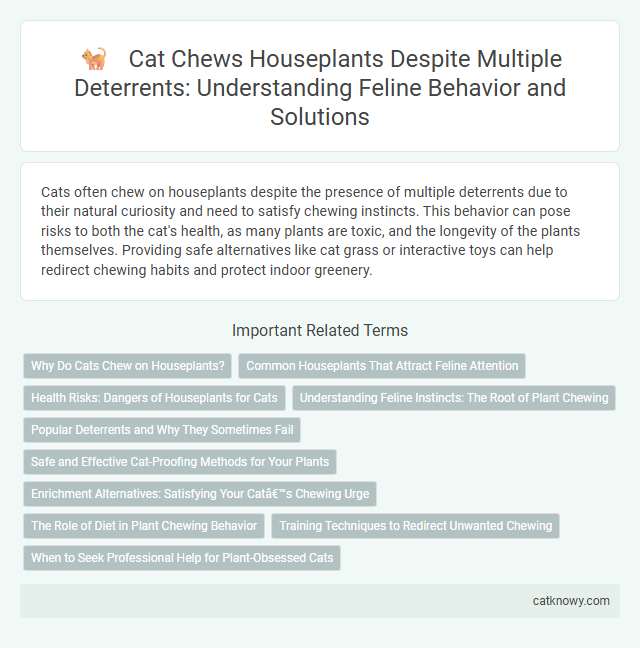 Cat Chews Houseplants Despite Multiple Deterrents: Understanding Feline Behavior and Solutions