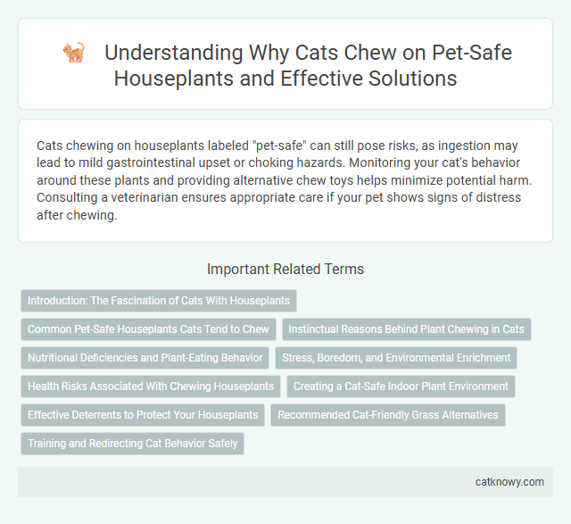Understanding Why Cats Chew on Pet-Safe Houseplants and Effective Solutions