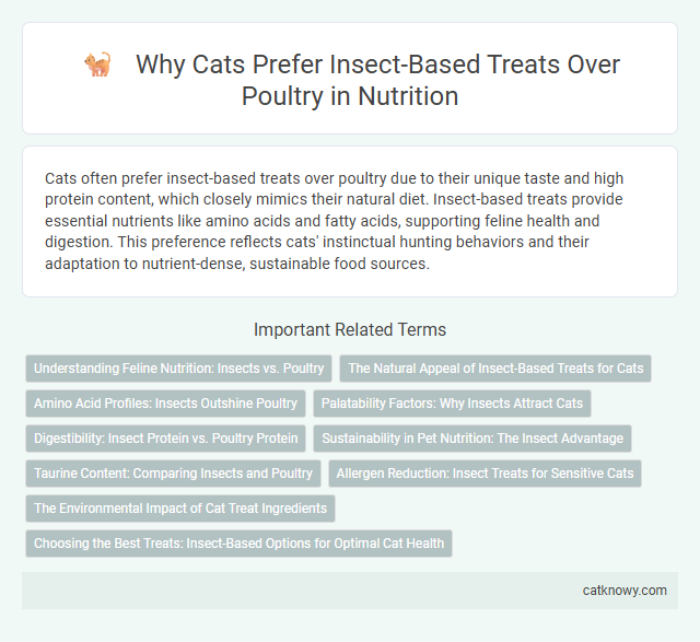 Why Cats Prefer Insect-Based Treats Over Poultry in Nutrition