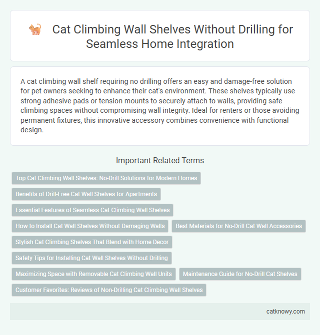 Cat Climbing Wall Shelves Without Drilling for Seamless Home Integration