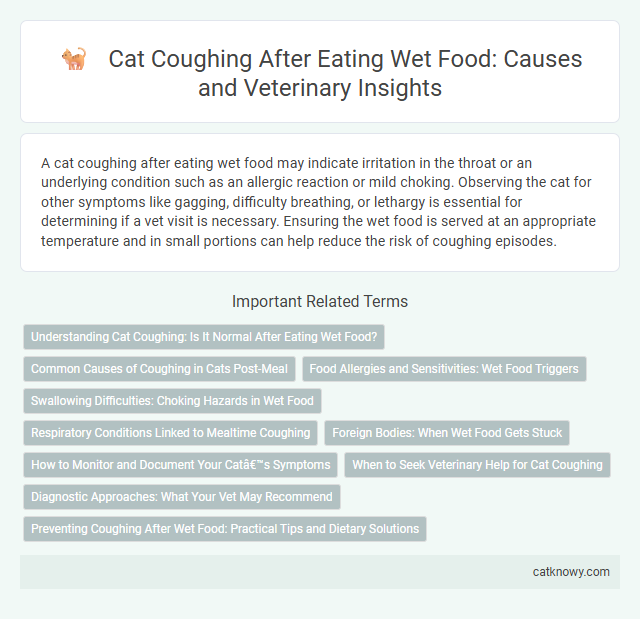 Cat Coughing After Eating Wet Food: Causes and Veterinary Insights