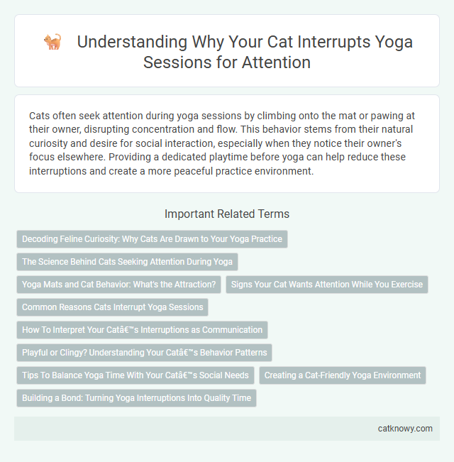 Understanding Why Your Cat Interrupts Yoga Sessions for Attention