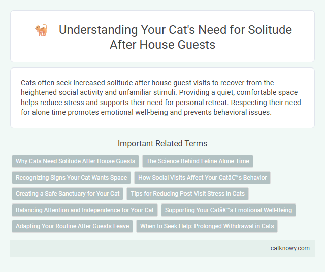 Understanding Your Cat's Need for Solitude After House Guests