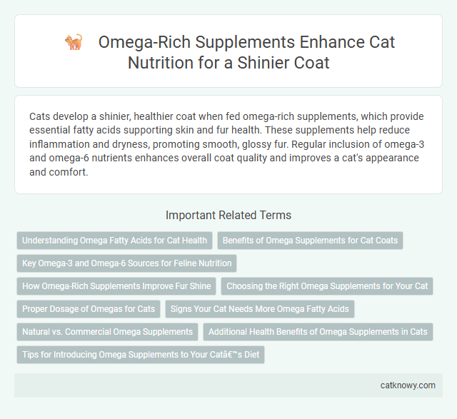 Omega-Rich Supplements Enhance Cat Nutrition for a Shinier Coat