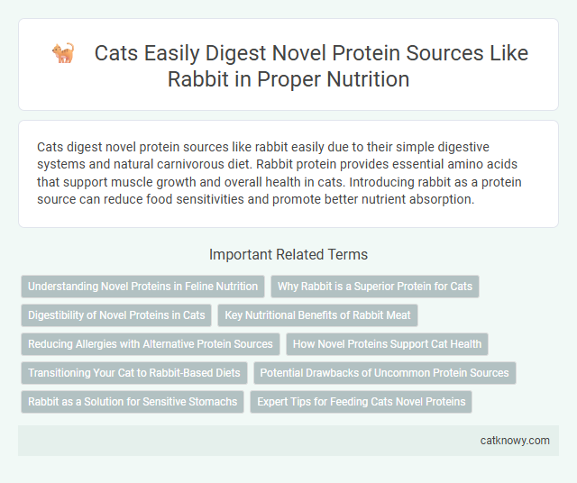 Cats Easily Digest Novel Protein Sources Like Rabbit in Proper Nutrition