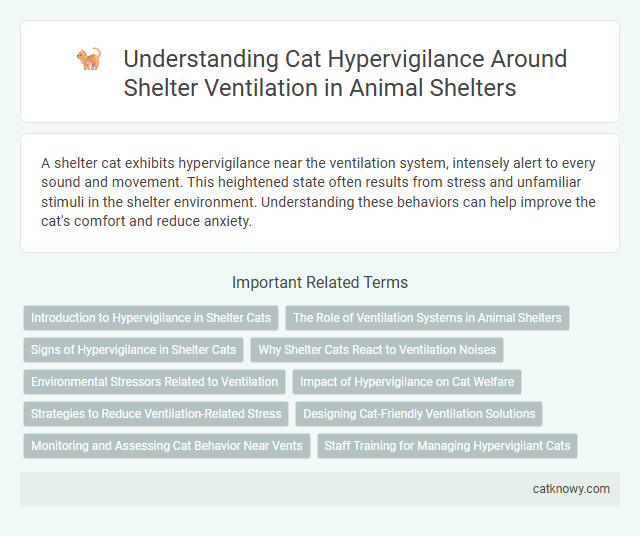 Understanding Cat Hypervigilance Around Shelter Ventilation in Animal Shelters