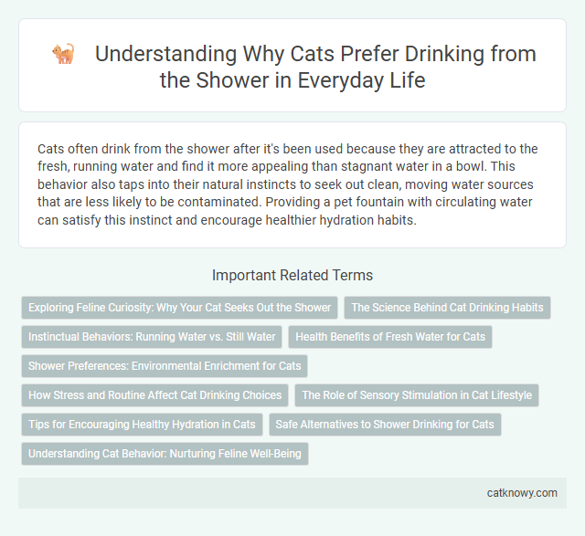 Understanding Why Cats Prefer Drinking from the Shower in Everyday Life