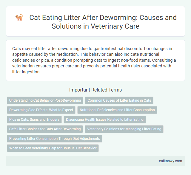 Cat Eating Litter After Deworming: Causes and Solutions in Veterinary Care