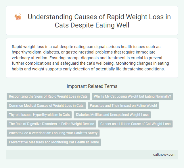Understanding Causes of Rapid Weight Loss in Cats Despite Eating Well