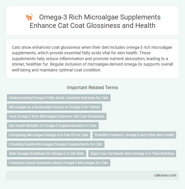 Omega-3 Rich Microalgae Supplements Enhance Cat Coat Glossiness and Health