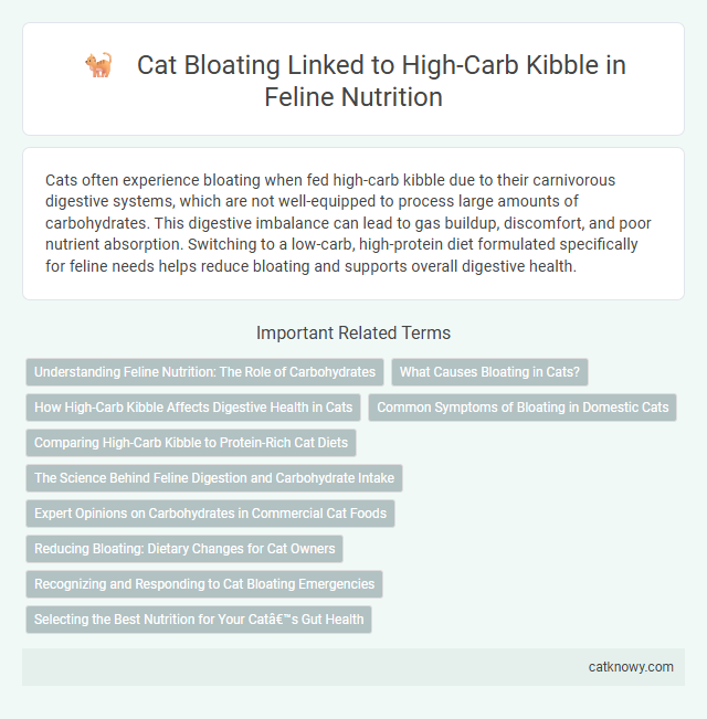 Cat Bloating Linked to High-Carb Kibble in Feline Nutrition