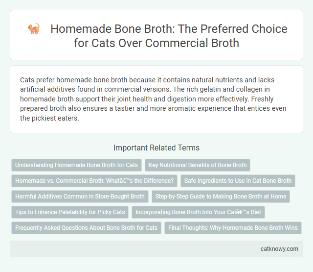 Homemade Bone Broth: The Preferred Choice for Cats Over Commercial Broth