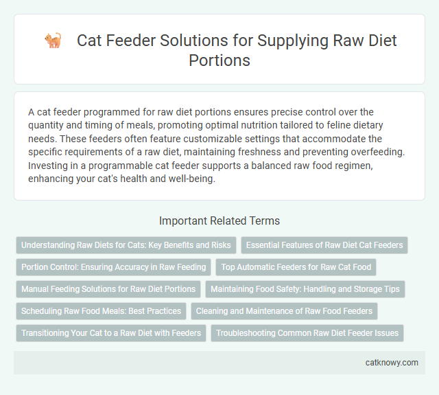 Cat Feeder Solutions for Supplying Raw Diet Portions
