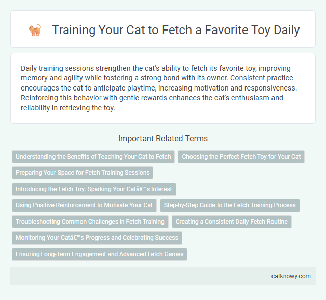 Training Your Cat to Fetch a Favorite Toy Daily