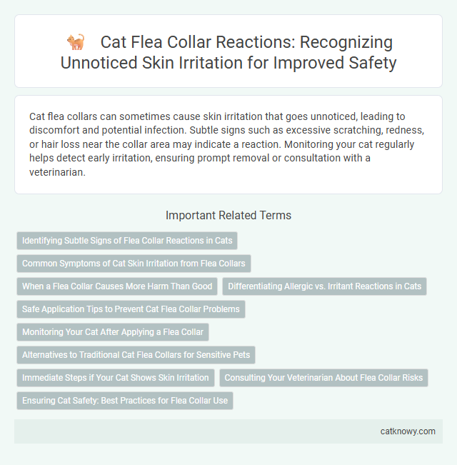 Cat Flea Collar Reactions: Recognizing Unnoticed Skin Irritation for Improved Safety