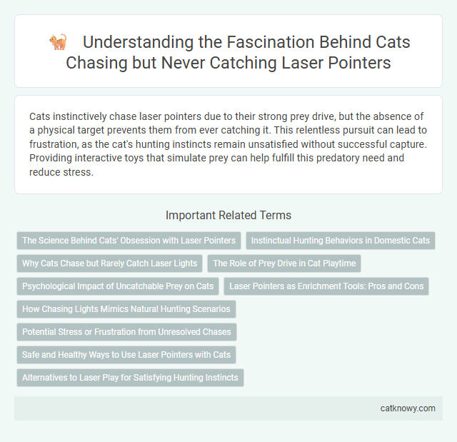 Understanding the Fascination Behind Cats Chasing but Never Catching Laser Pointers