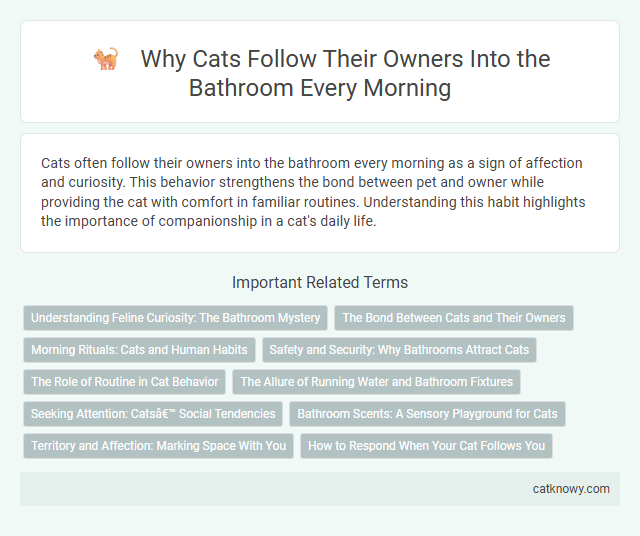 Why Cats Follow Their Owners Into the Bathroom Every Morning