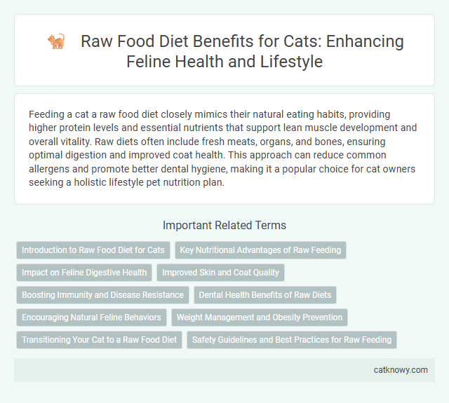 Raw Food Diet Benefits for Cats: Enhancing Feline Health and Lifestyle
