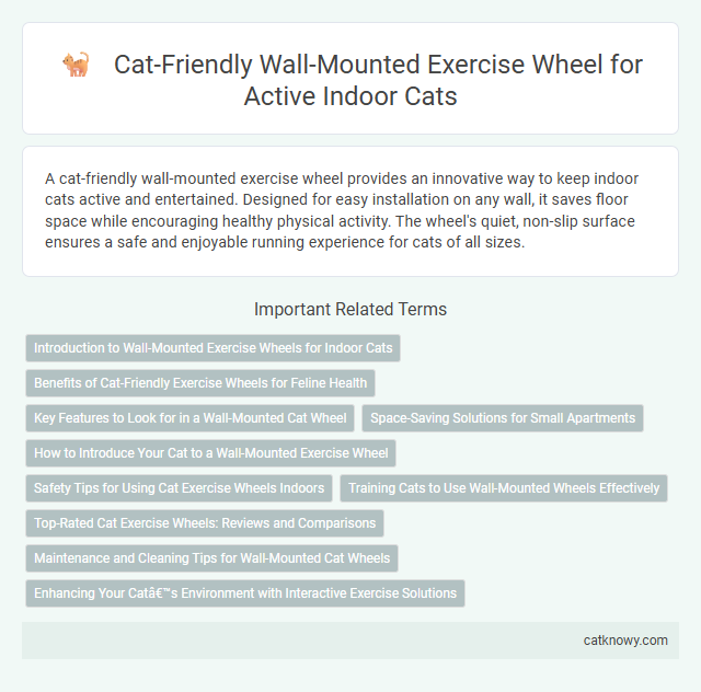 Cat-Friendly Wall-Mounted Exercise Wheel for Active Indoor Cats