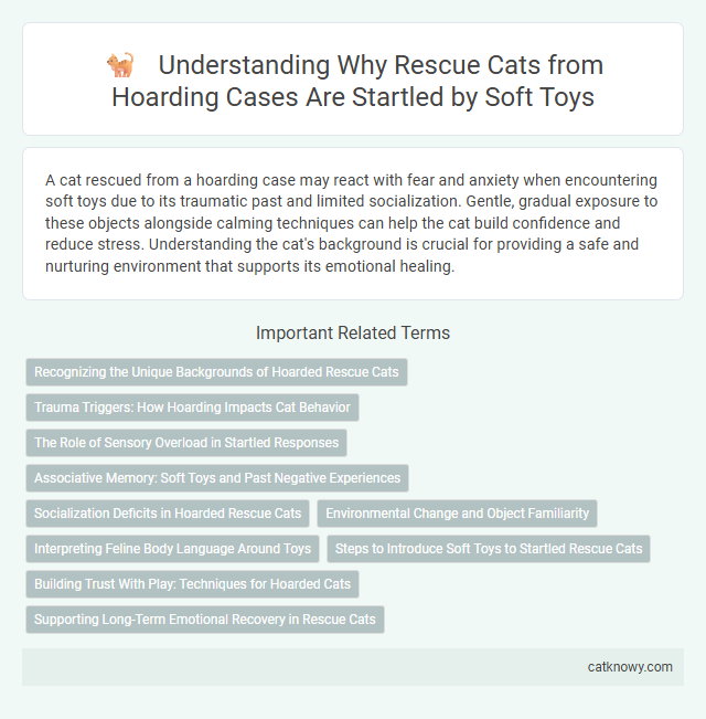 Understanding Why Rescue Cats from Hoarding Cases Are Startled by Soft Toys