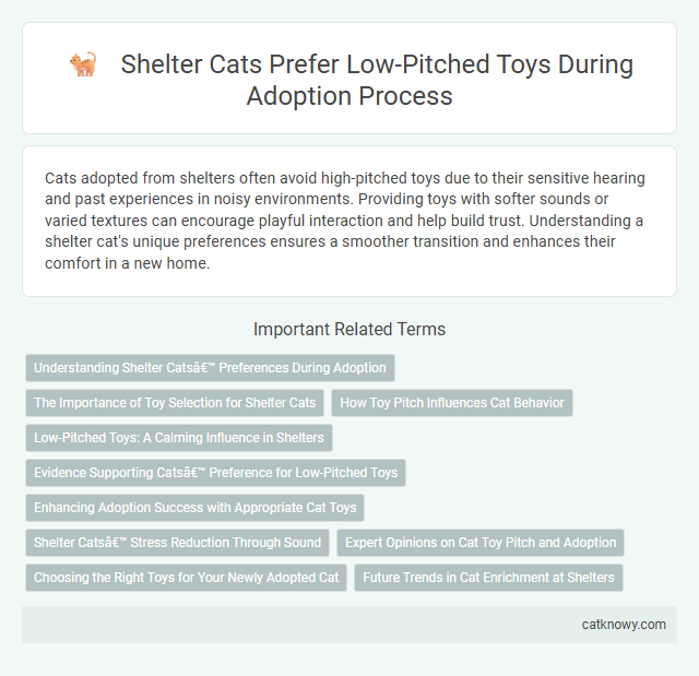 Shelter Cats Prefer Low-Pitched Toys During Adoption Process