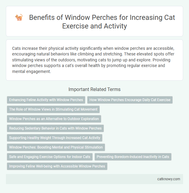 Benefits of Window Perches for Increasing Cat Exercise and Activity