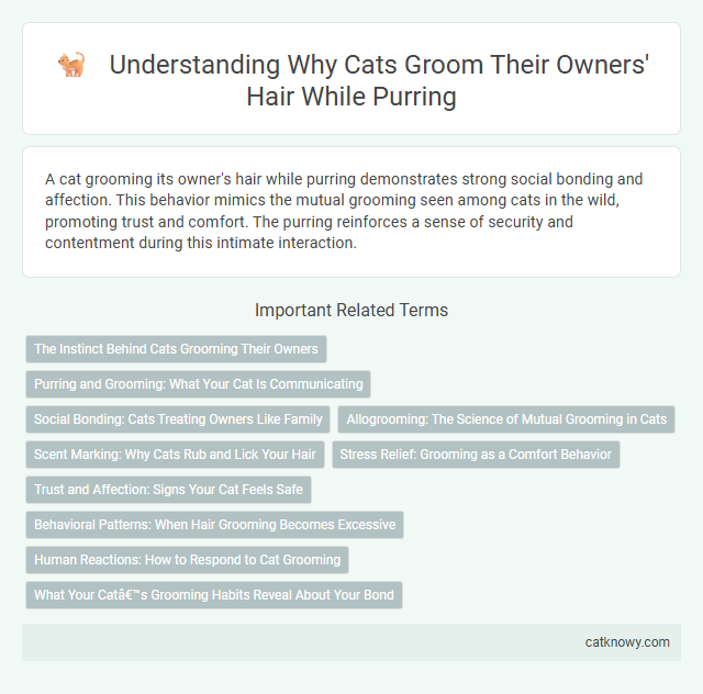 Understanding Why Cats Groom Their Owners' Hair While Purring