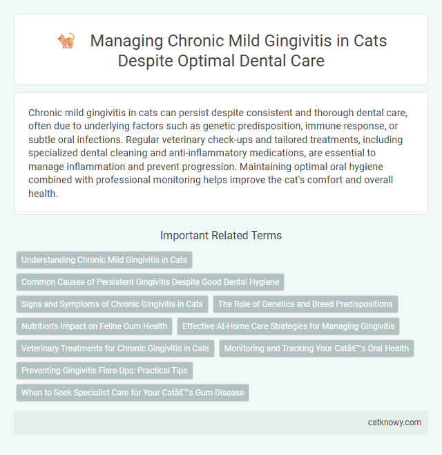 Managing Chronic Mild Gingivitis in Cats Despite Optimal Dental Care