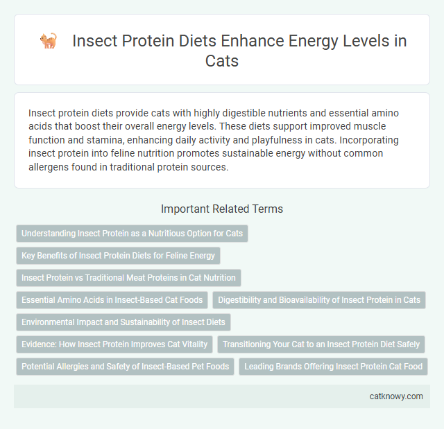 Insect Protein Diets Enhance Energy Levels in Cats