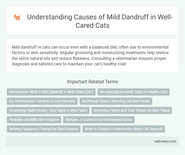 Understanding Causes of Mild Dandruff in Well-Cared Cats