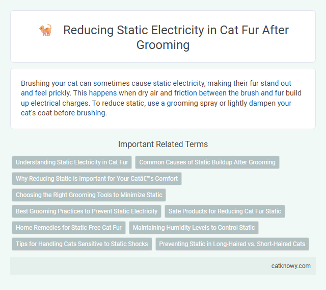 Reducing Static Electricity in Cat Fur After Grooming